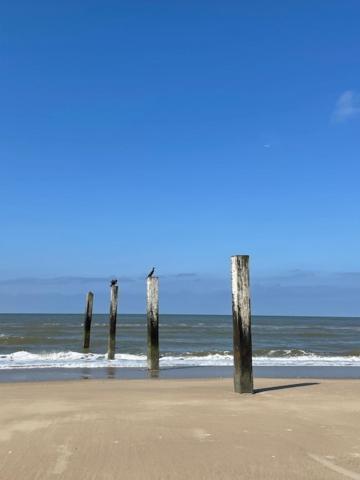 Appartement De Zeemeermin, Free Parking Zandvoort Kültér fotó